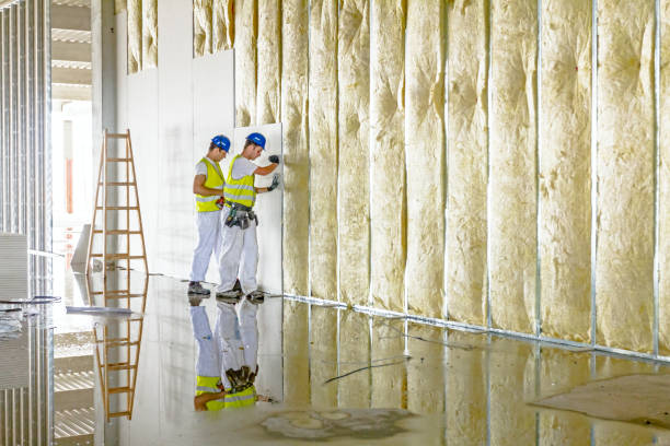 Best Batt and Roll Insulation  in Aquia Harbour, VA