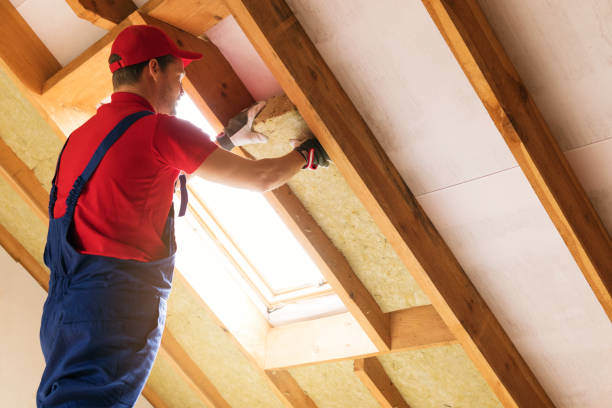 Best Attic Insulation Installation  in Aquia Harbour, VA